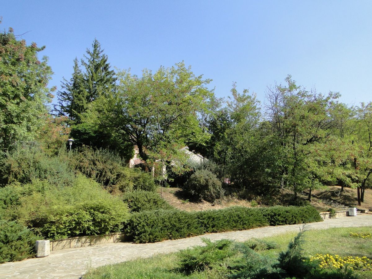 Tyulbeto park